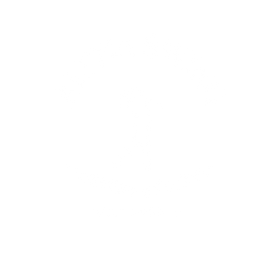 Alpha Swing Logo in Weiß